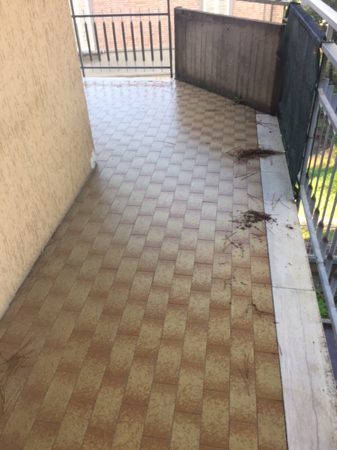 Appartamento in vendita a Gambettola