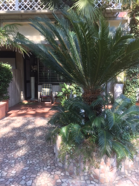 Bilocale in vendita a Cervia, Milano Marittima