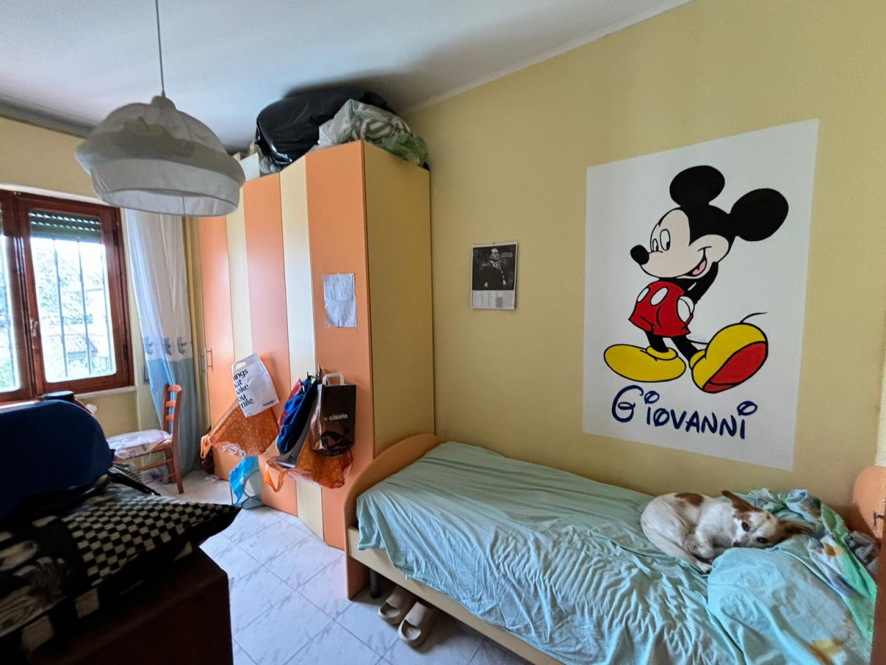 immagine annuncio 6 di 10