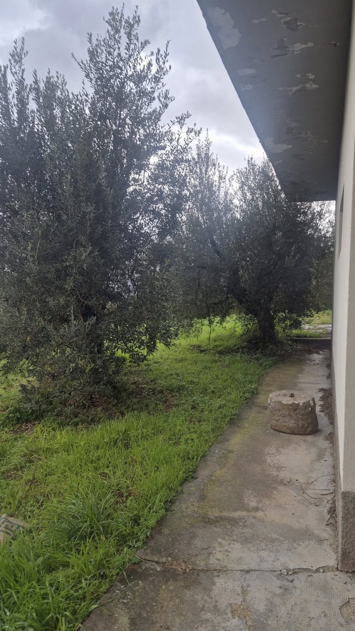 Casa indipendente con giardino a Laterina Pergine Valdarno