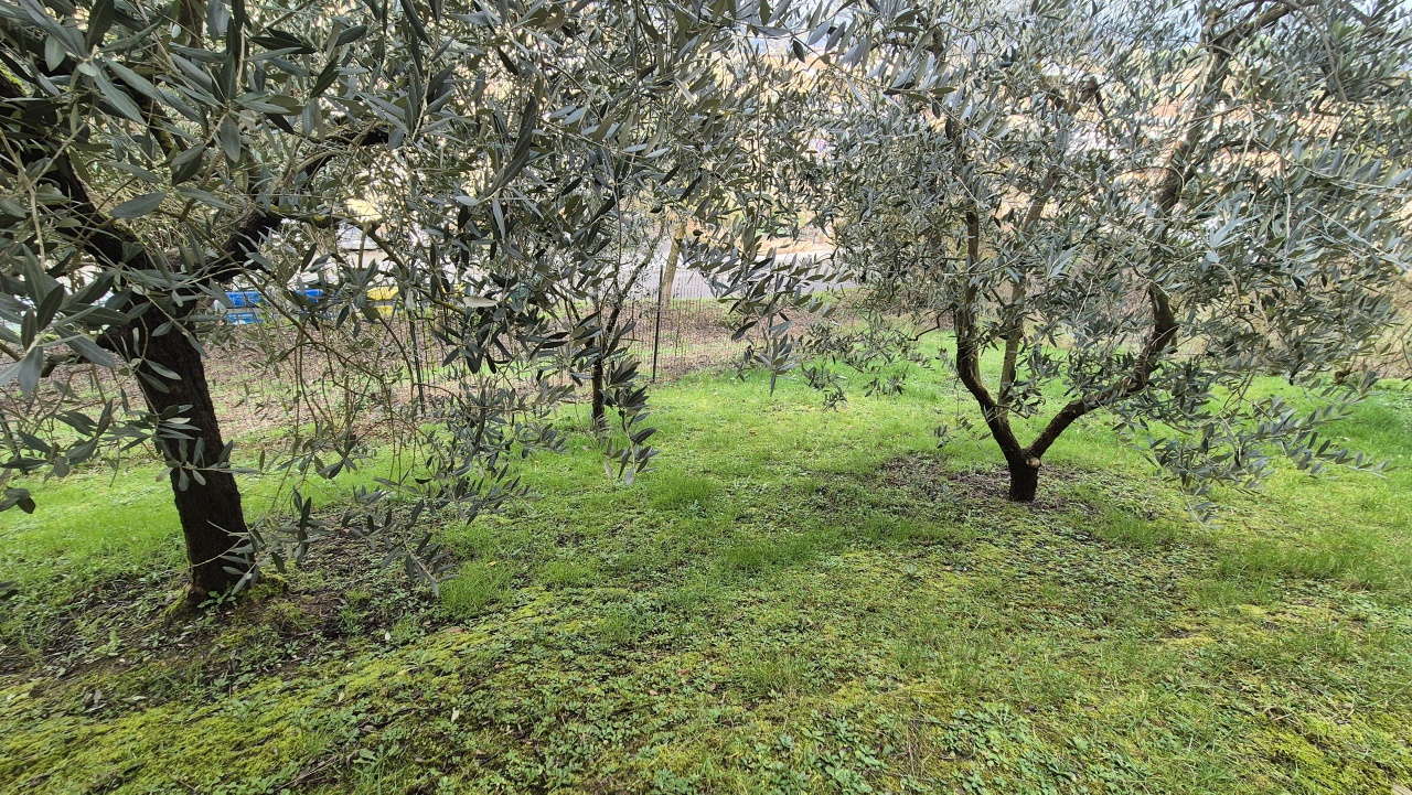 Casa indipendente con giardino a Bucine