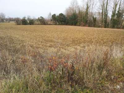 Terreno Agricolo in vendita a Brugnera