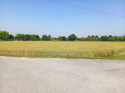 Terreno Agricolo con giardino a Gaiarine