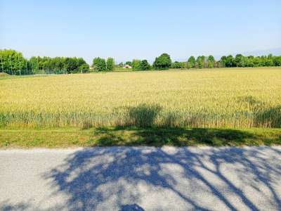 Terreno Agricolo con giardino a Gaiarine