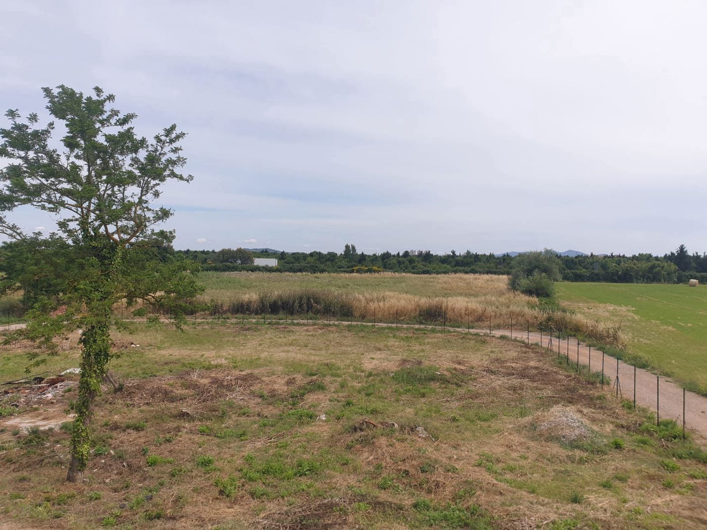 Terreno Agricolo in vendita a Grosseto