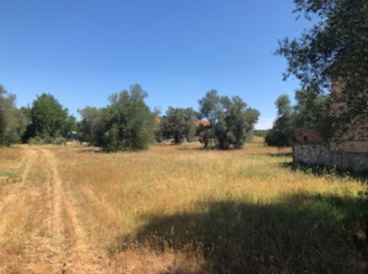 Terreno Edificabile in vendita a Grosseto