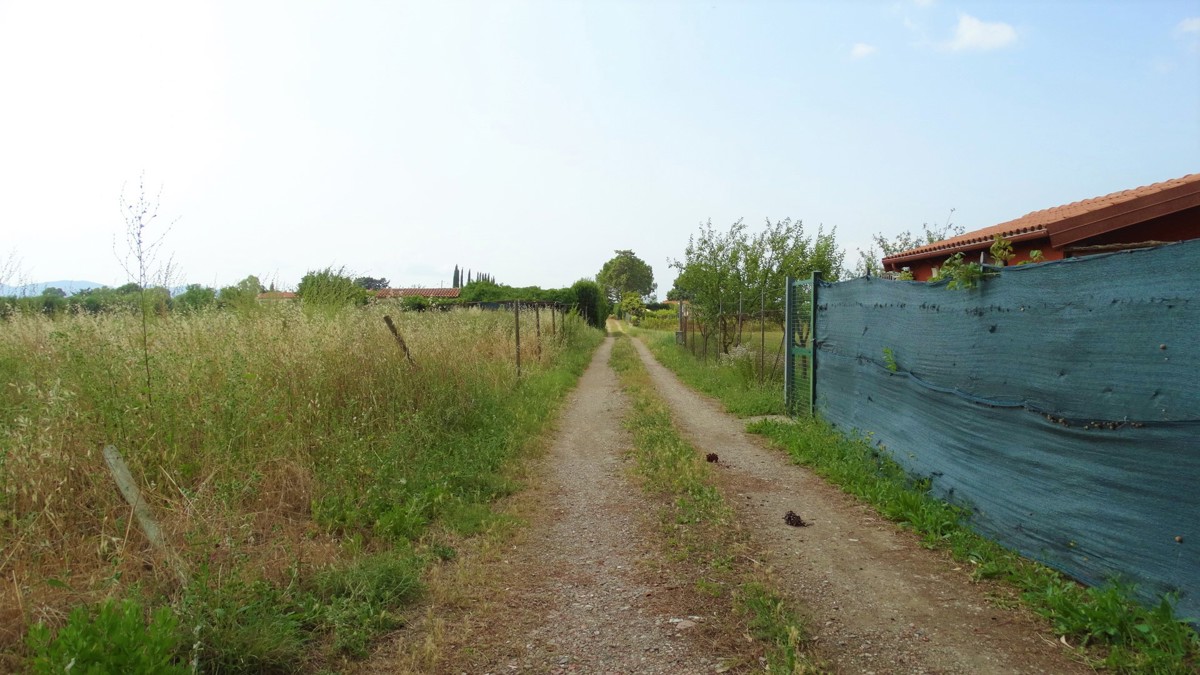 Terreno Agricolo in vendita a Grosseto