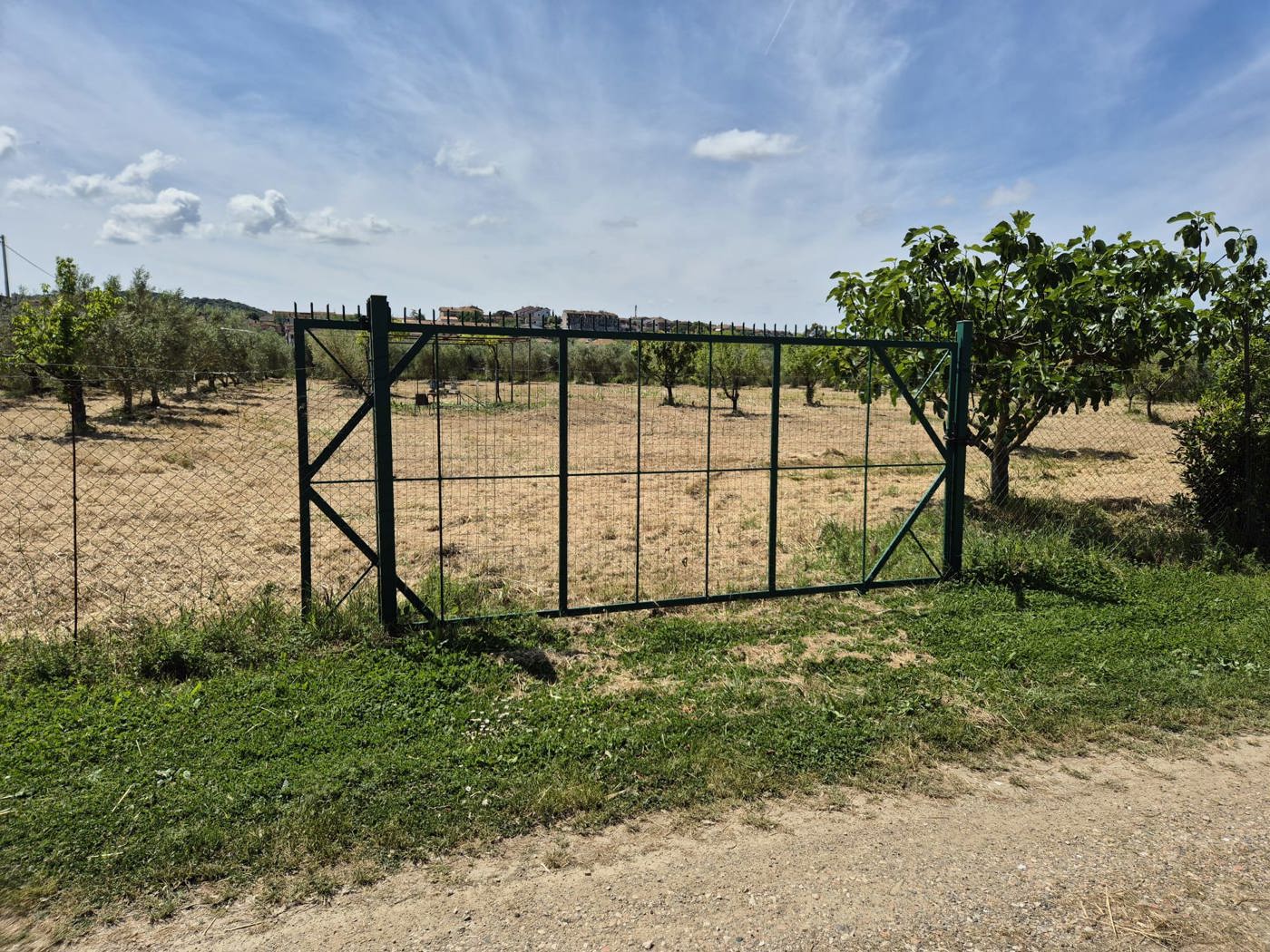 immagine annuncio 2 di 9