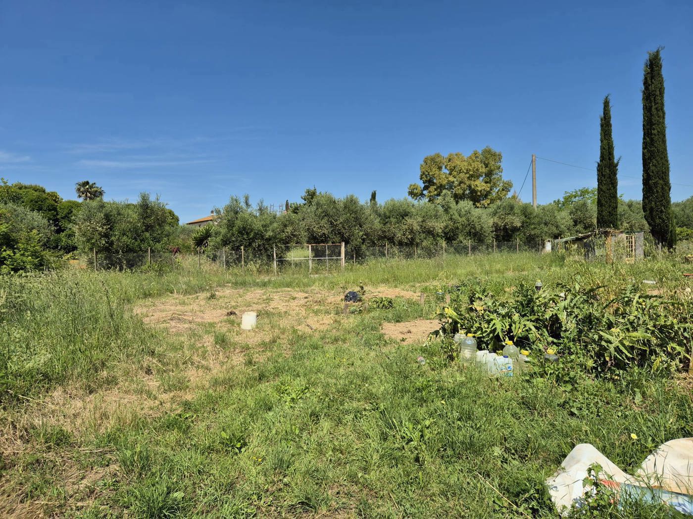 Terreno Agricolo in vendita a Grosseto