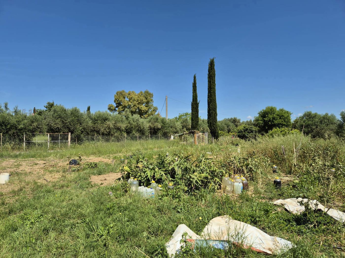 Terreno Agricolo in vendita a Grosseto