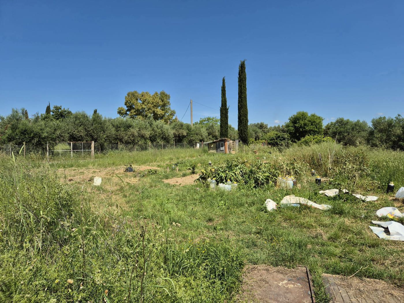 Terreno Agricolo in vendita a Grosseto