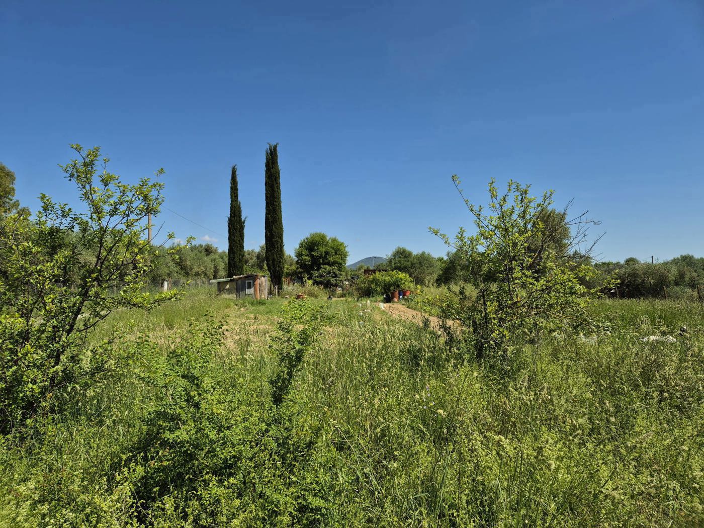 Terreno Agricolo in vendita a Grosseto