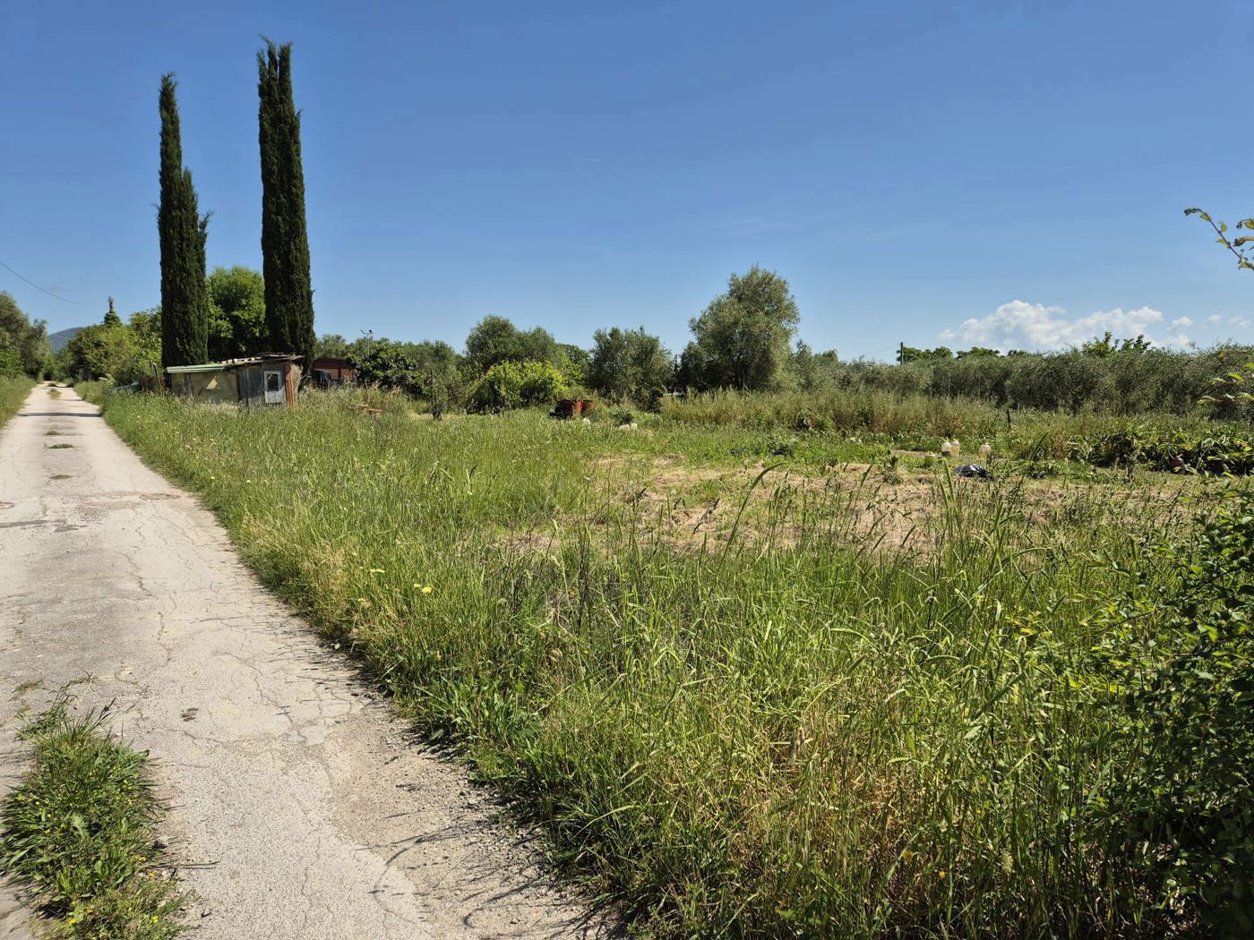 Terreno Agricolo in vendita a Grosseto