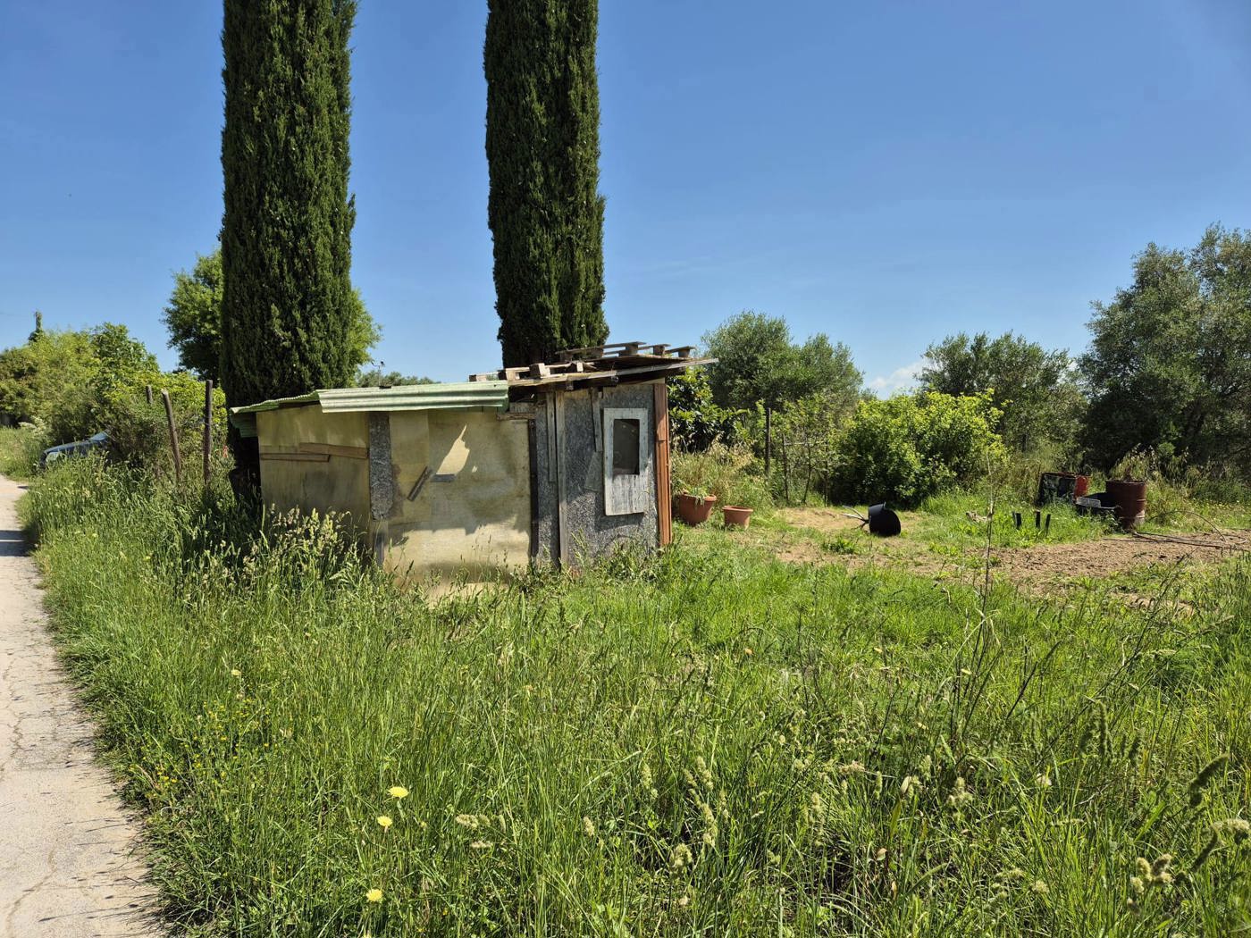 Terreno Agricolo in vendita a Grosseto
