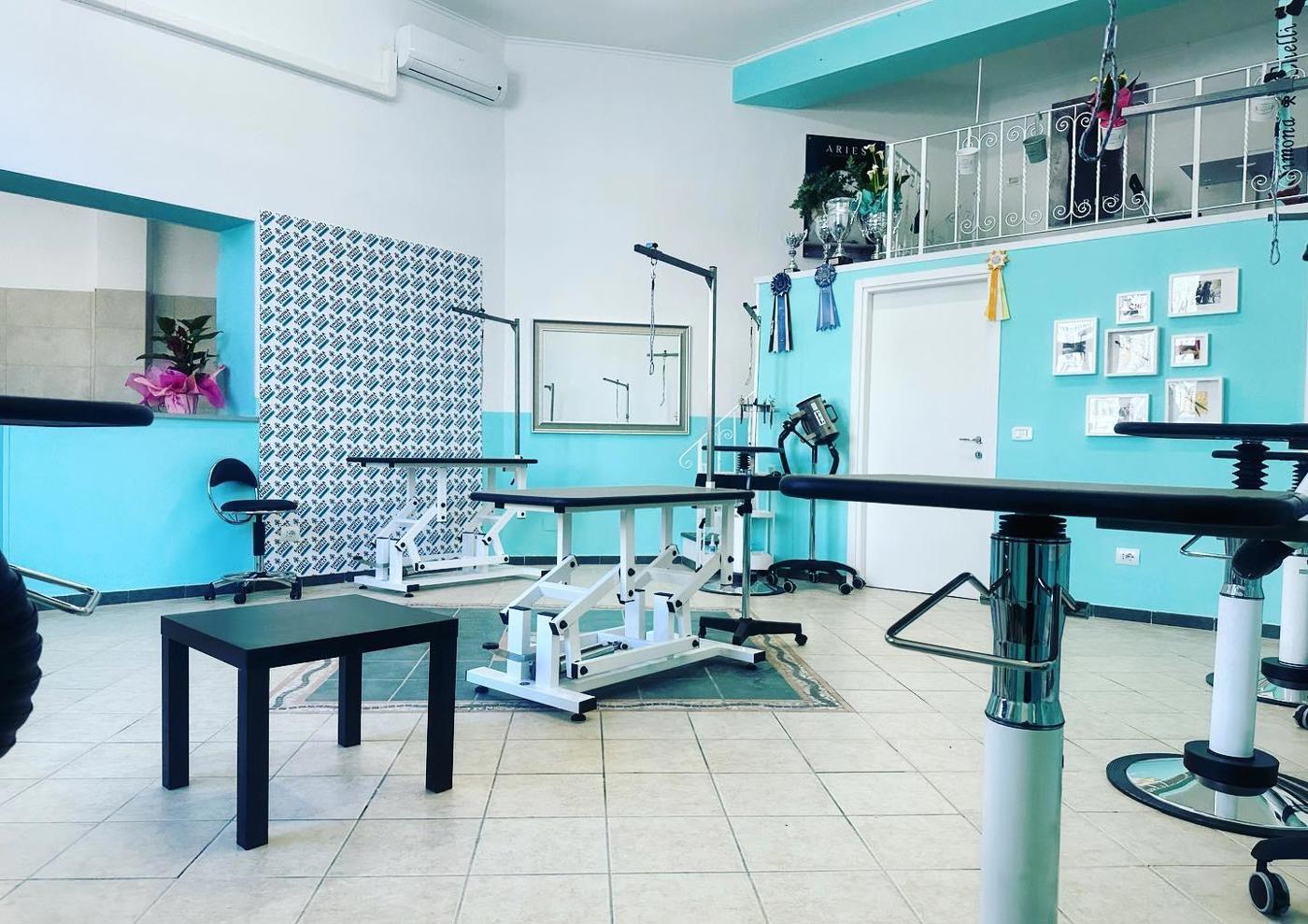 Negozio in vendita a Grosseto