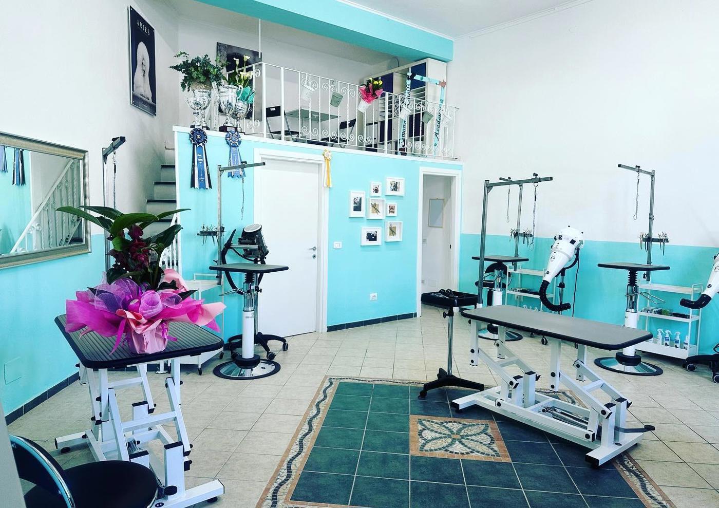 Negozio in vendita a Grosseto