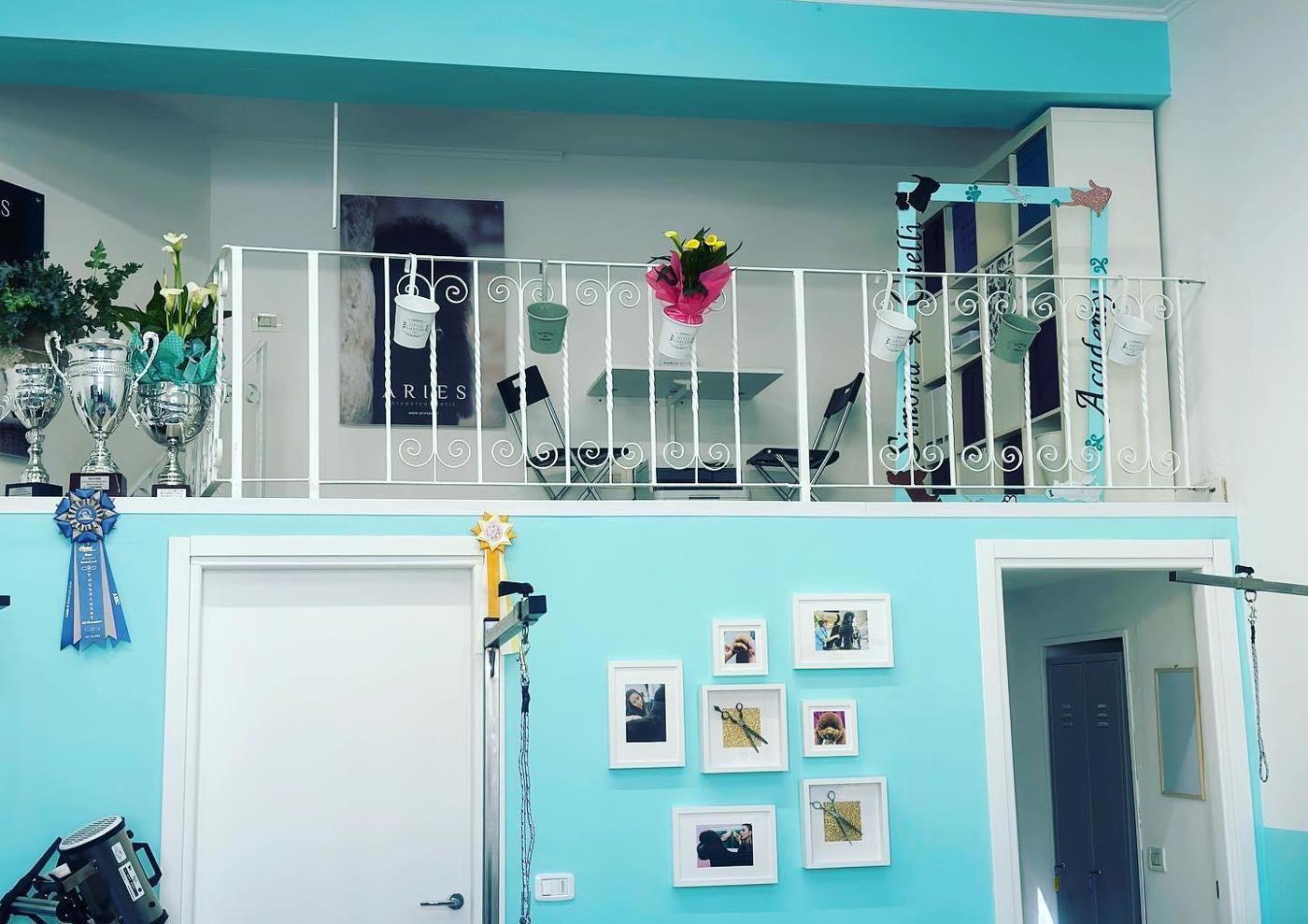 Negozio in vendita a Grosseto