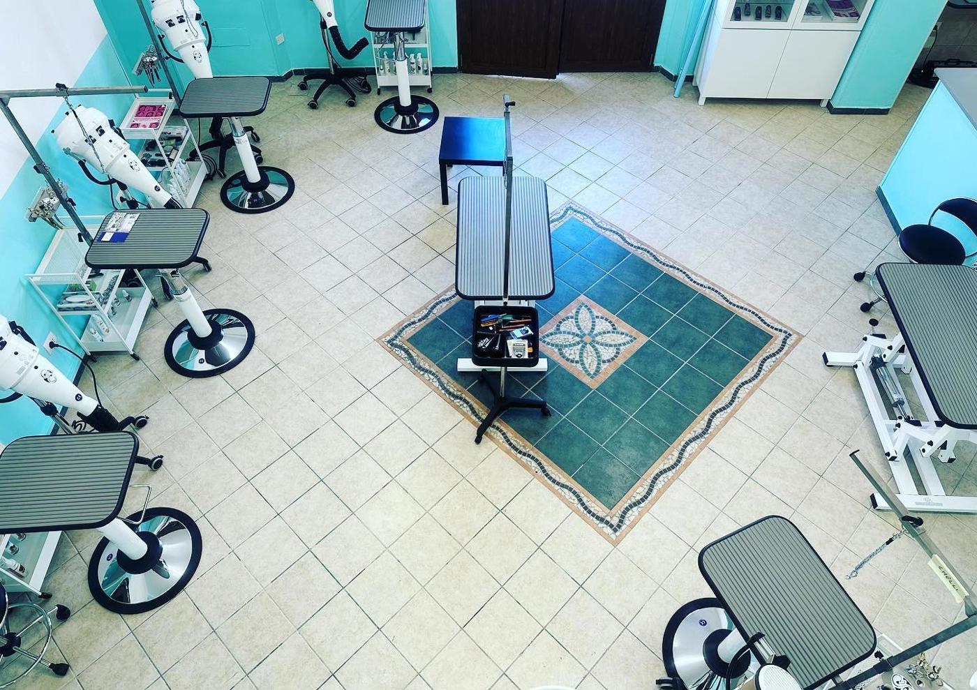 Negozio in vendita a Grosseto