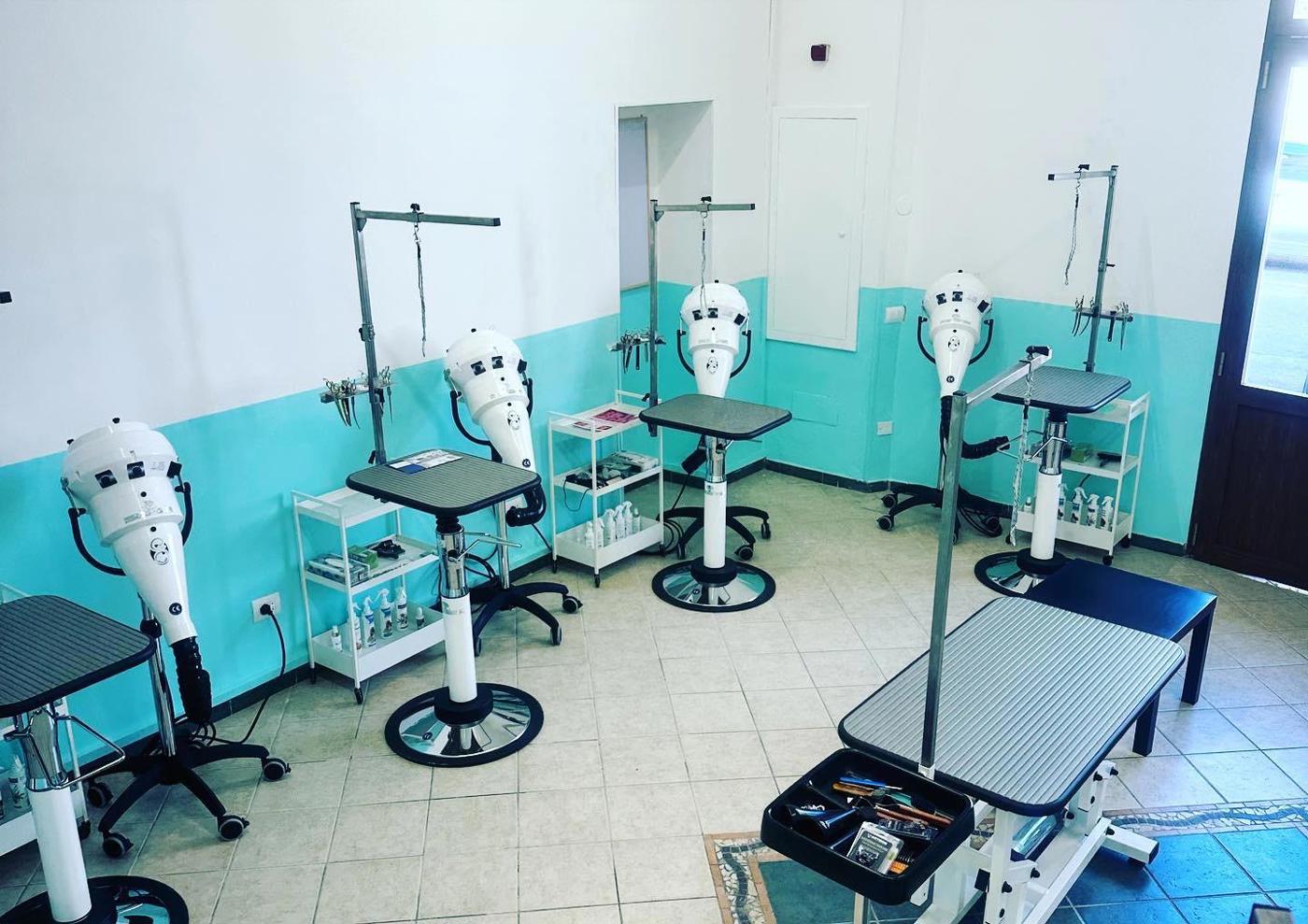 Negozio in vendita a Grosseto