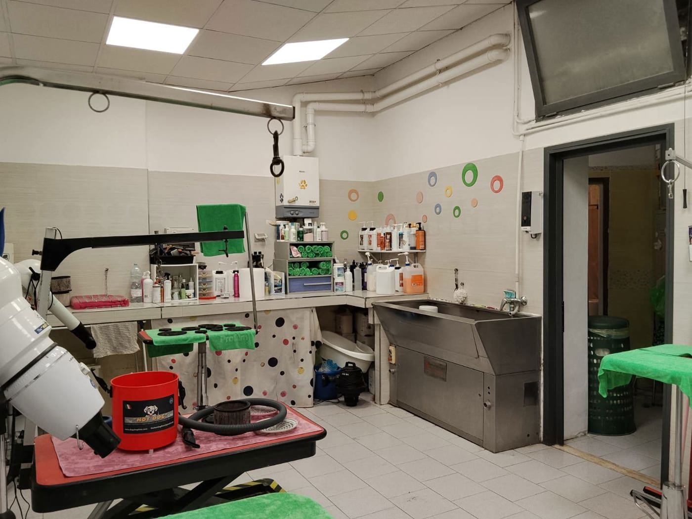 Negozio in vendita a Grosseto