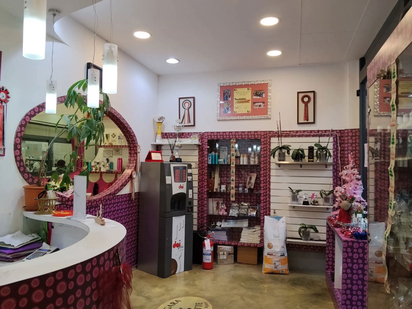 Negozio in vendita a Grosseto