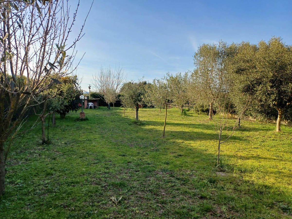Terreno Agricolo in vendita a Grosseto