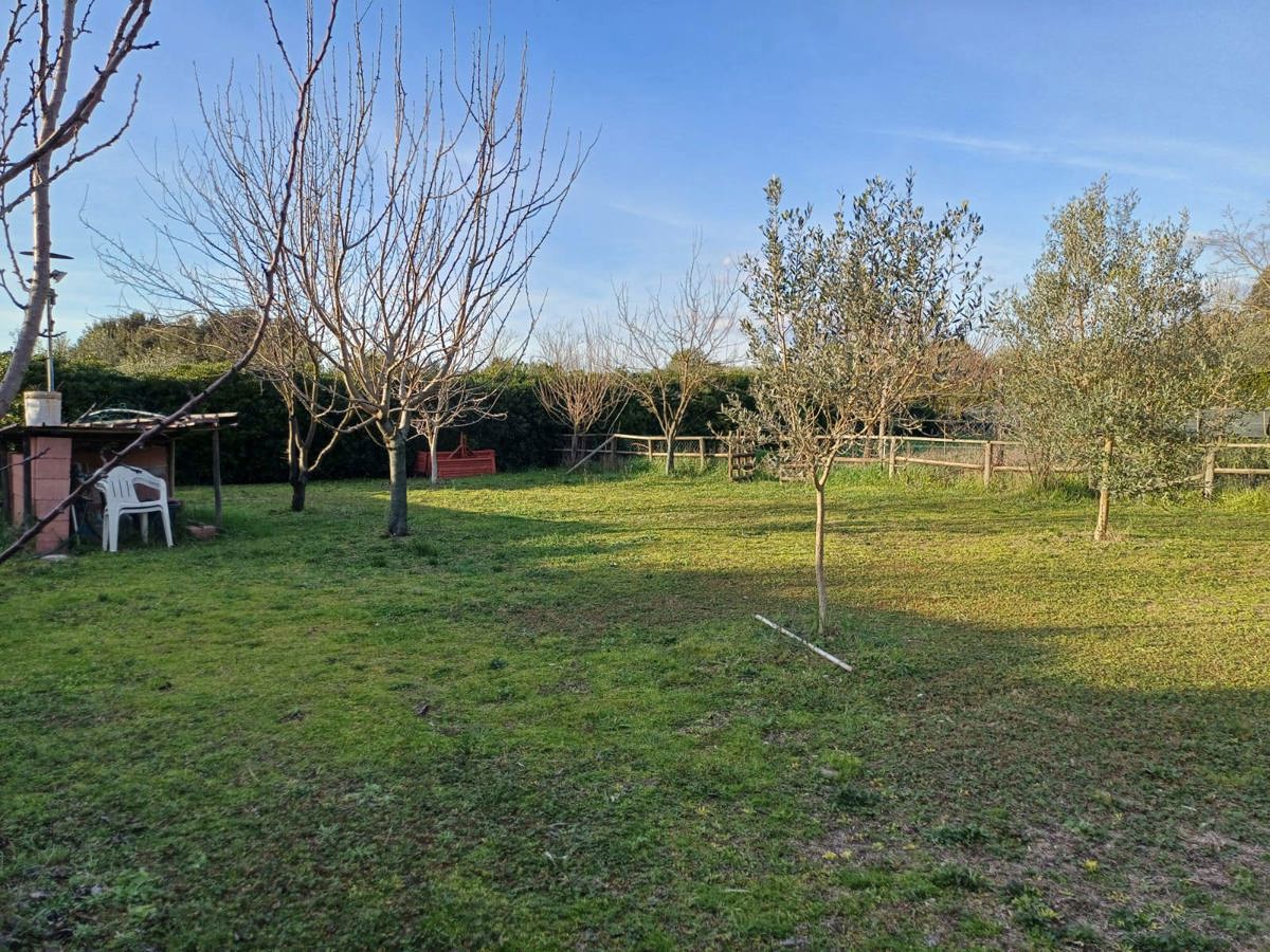 Terreno Agricolo in vendita a Grosseto