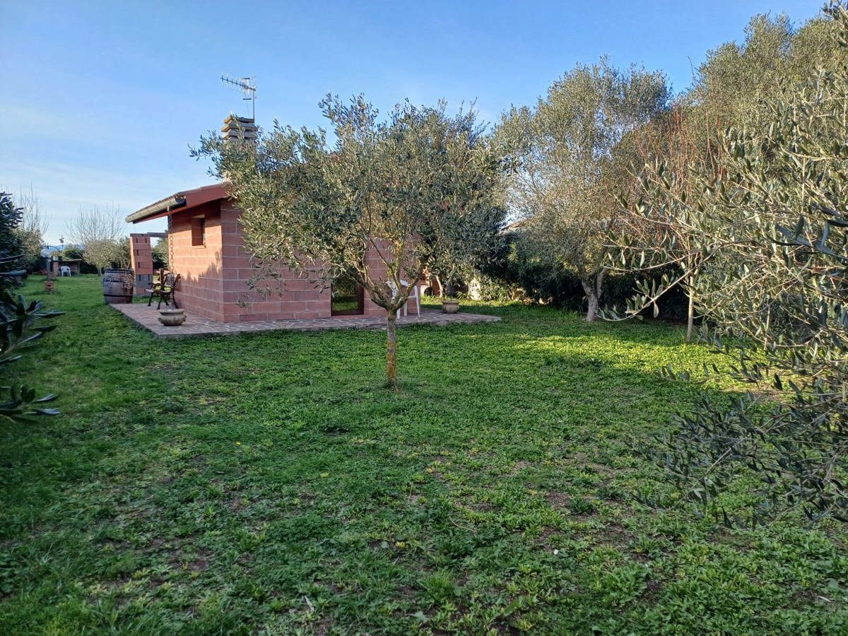 Terreno Agricolo in vendita a Grosseto