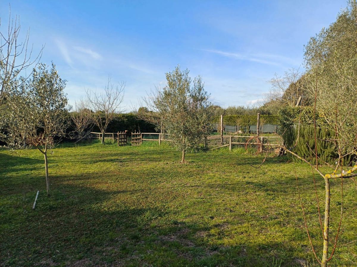 Terreno Agricolo in vendita a Grosseto