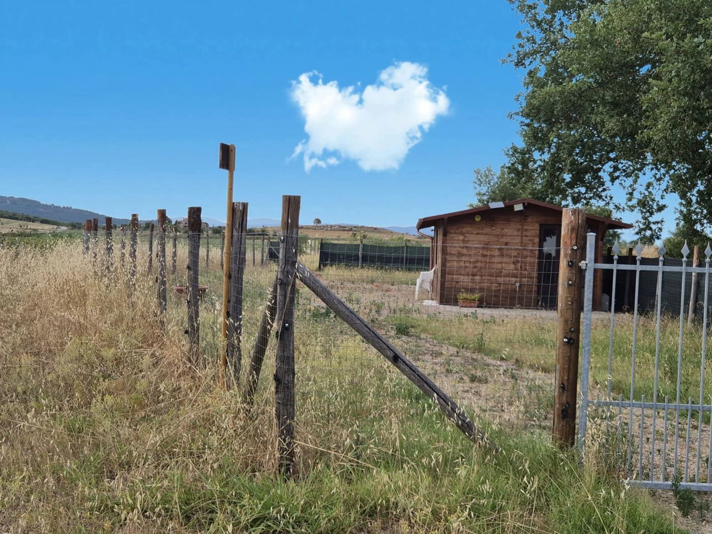 Terreno Agricolo in vendita a Castiglione della Pescaia