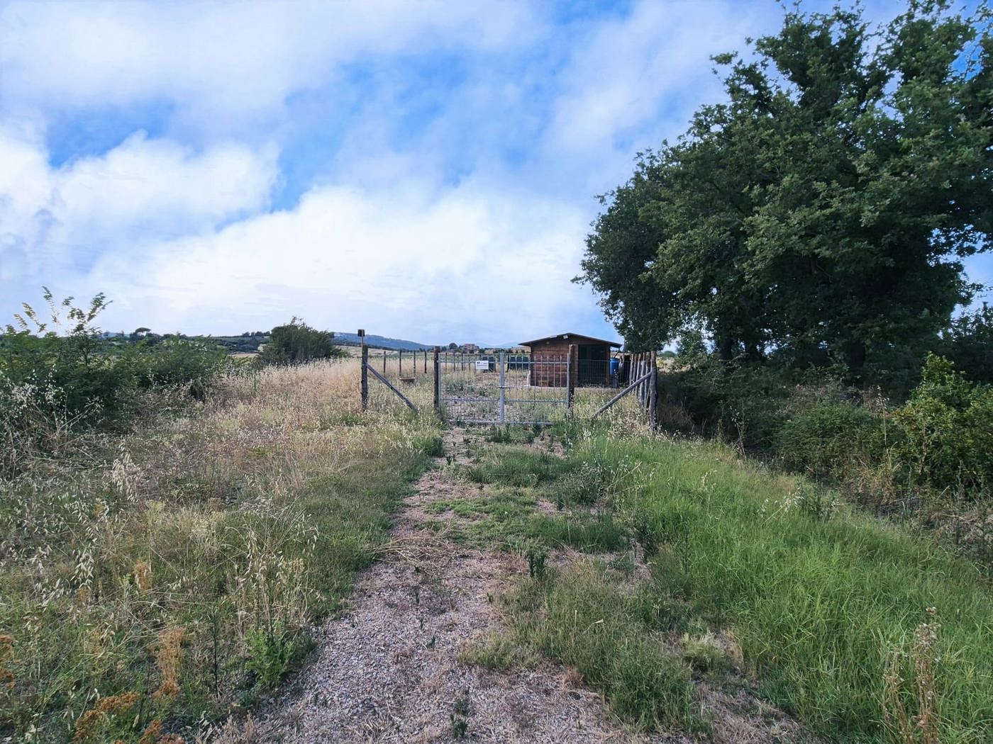 Terreno Agricolo in vendita a Castiglione della Pescaia