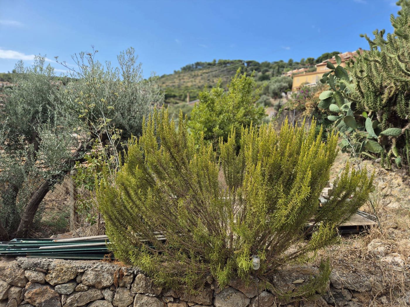 Casa indipendente in vendita a Monte Argentario