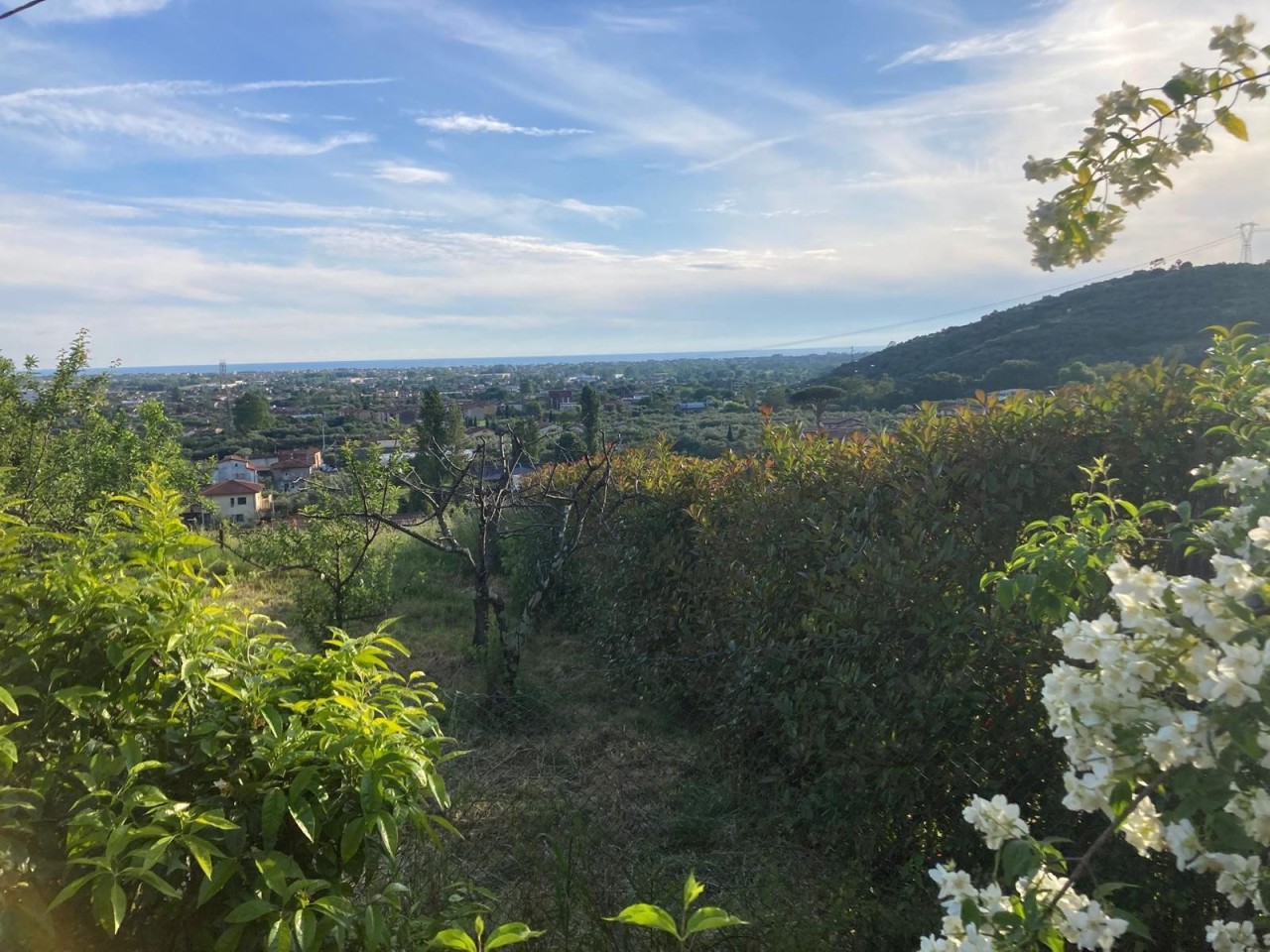 Rustico con giardino a Pietrasanta