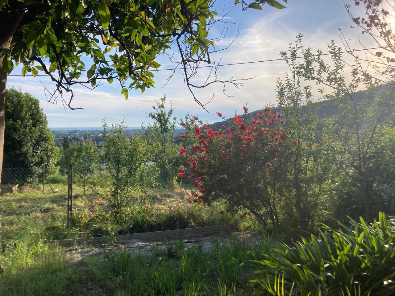 Rustico con giardino a Pietrasanta