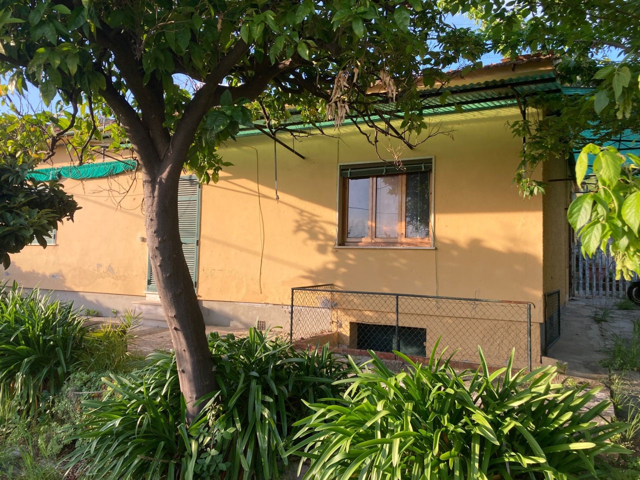 Rustico con giardino a Pietrasanta