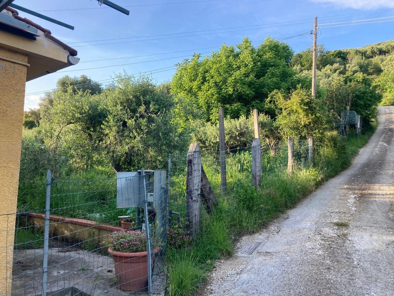 Rustico con giardino a Pietrasanta