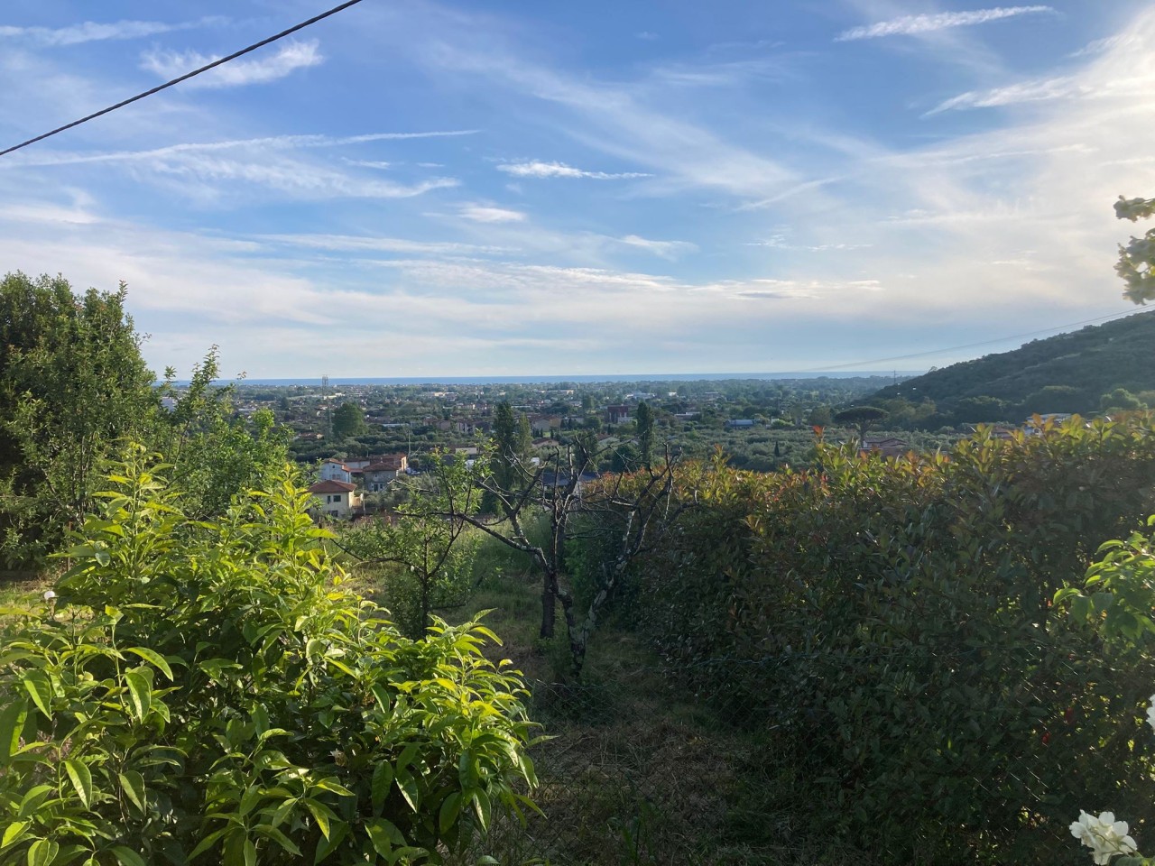 Rustico con giardino a Pietrasanta