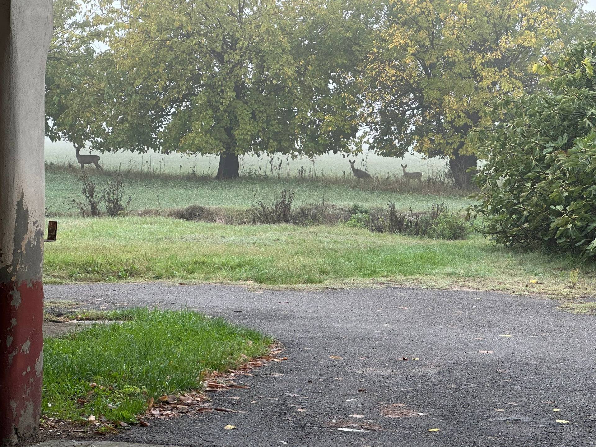 Appartamento in affitto a Parma, Paradigna