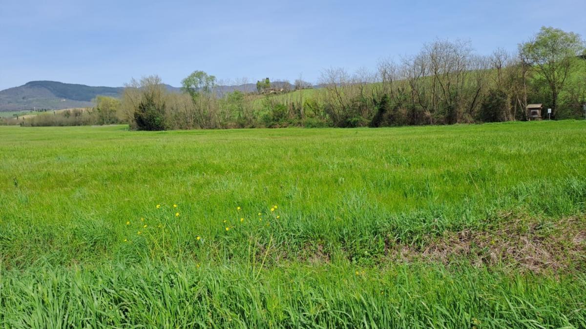 Terreno Agricolo in vendita a Castelfranco di Sotto