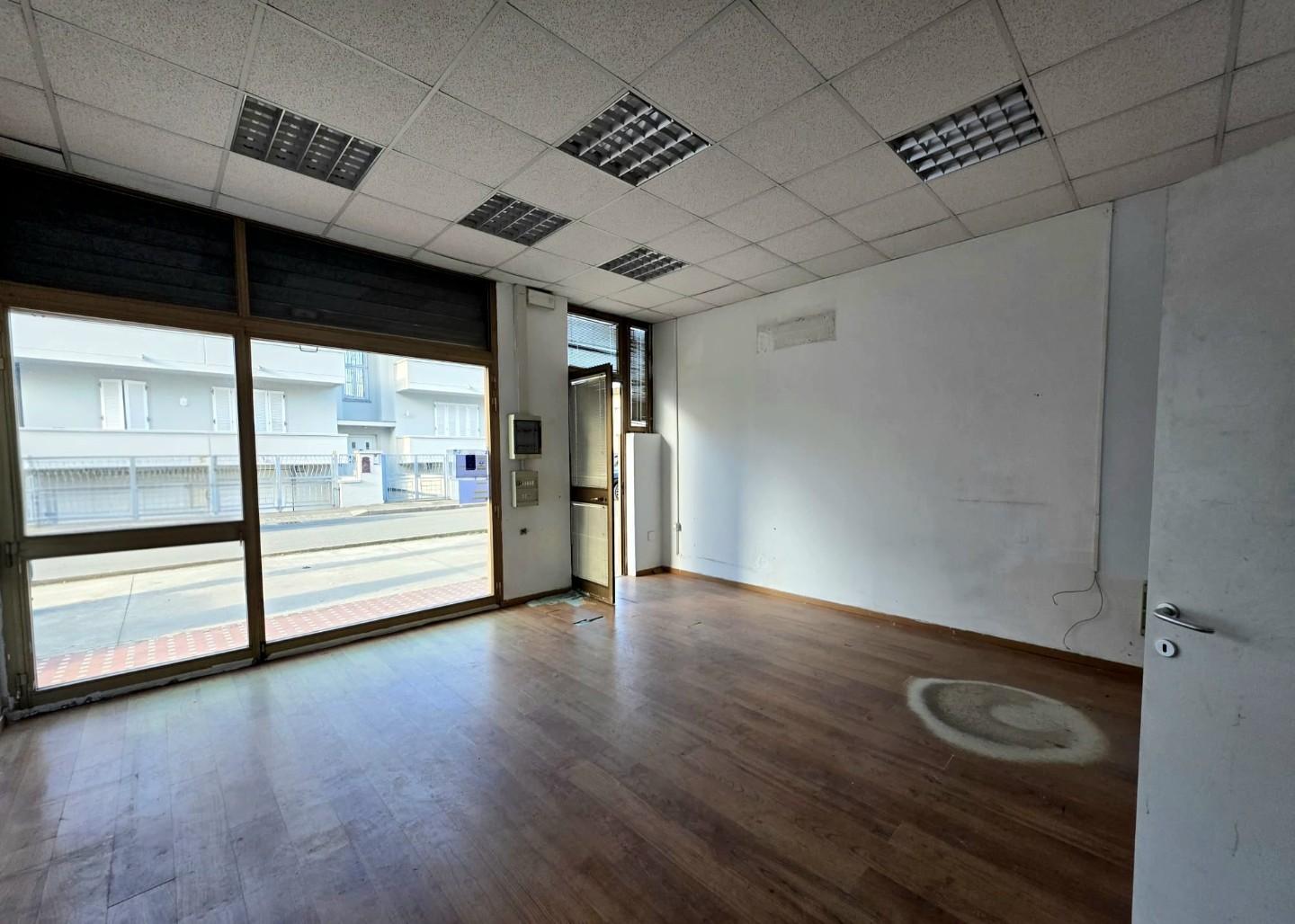 immagine annuncio 2 di 6