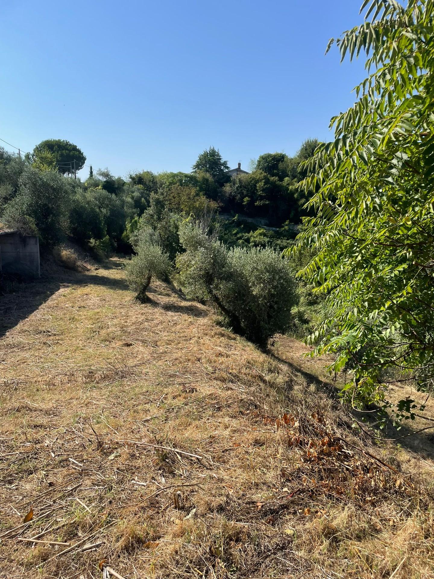 Terreno Edificabile in vendita, San Miniato stibbio