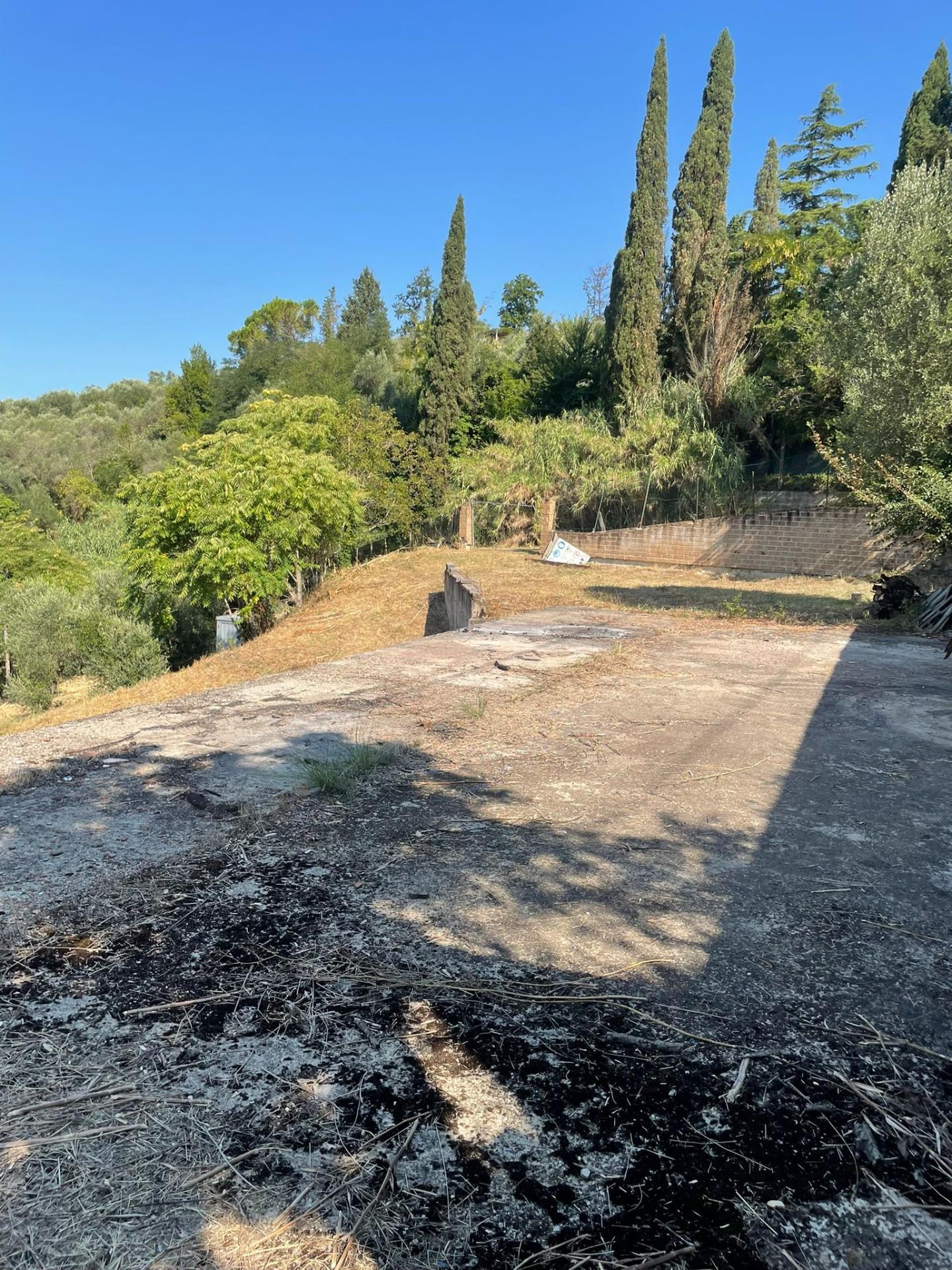 immagine annuncio 5 di 6