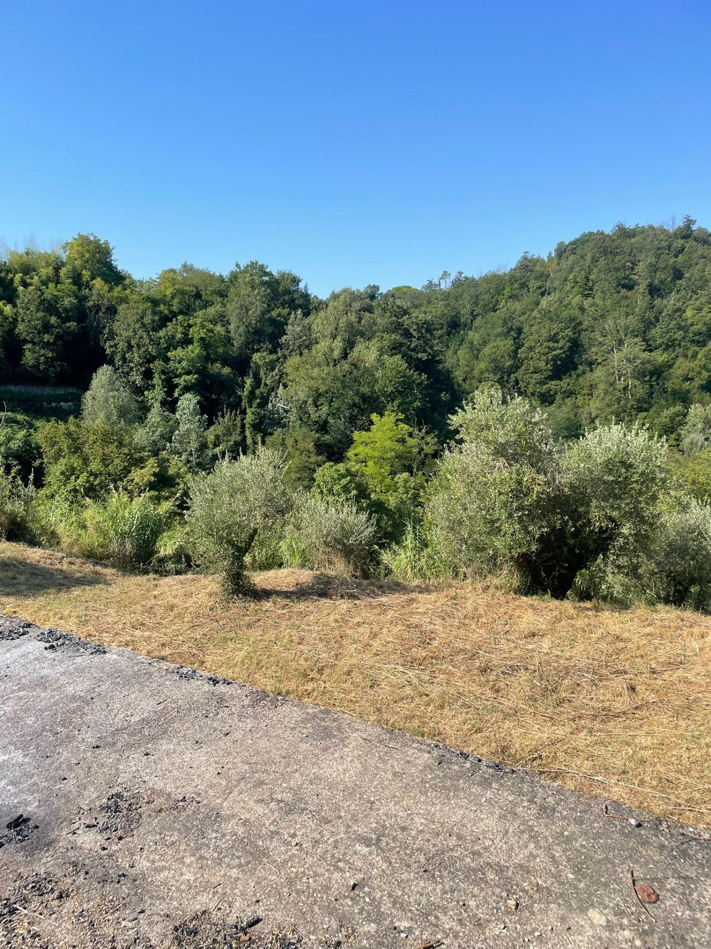 Casa indipendente nuova, San Miniato stibbio