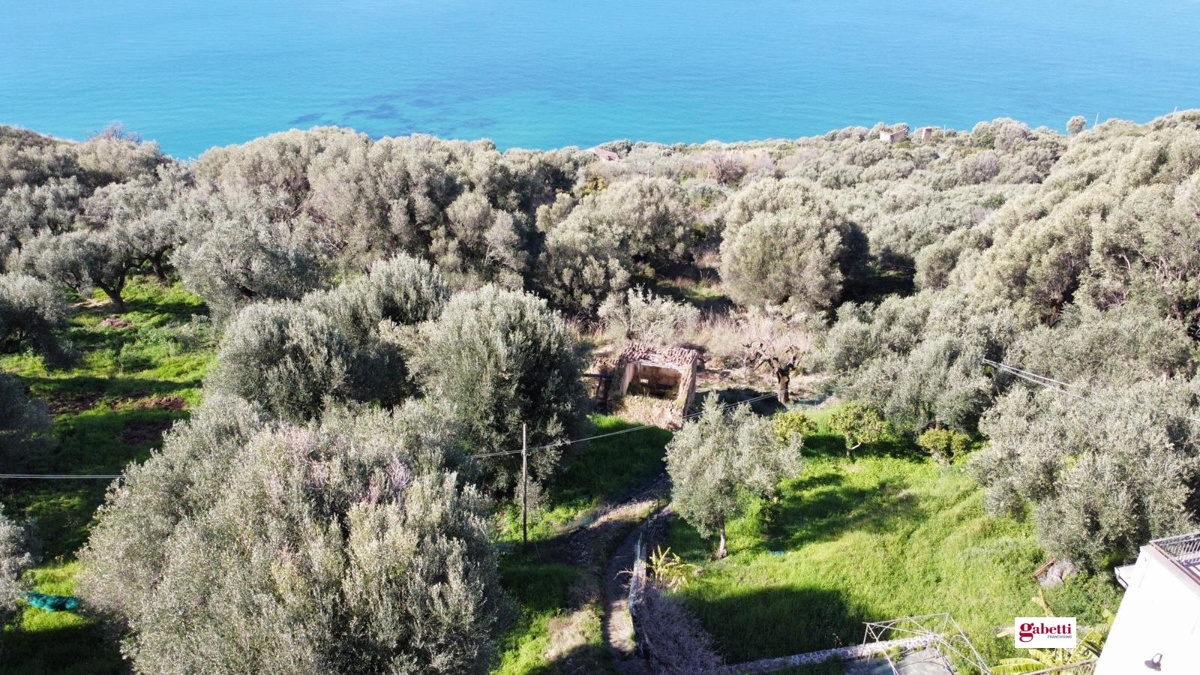 Terreno Agricolo vista mare a Pisciotta