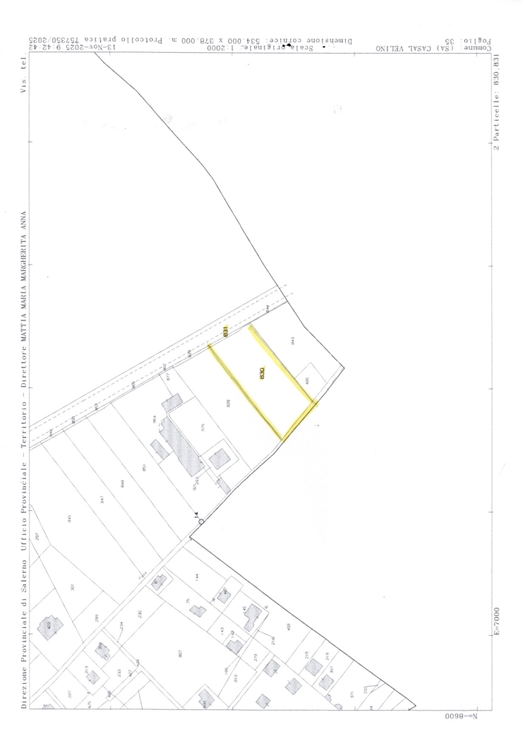 Terreno Agricolo in vendita a Casal Velino
