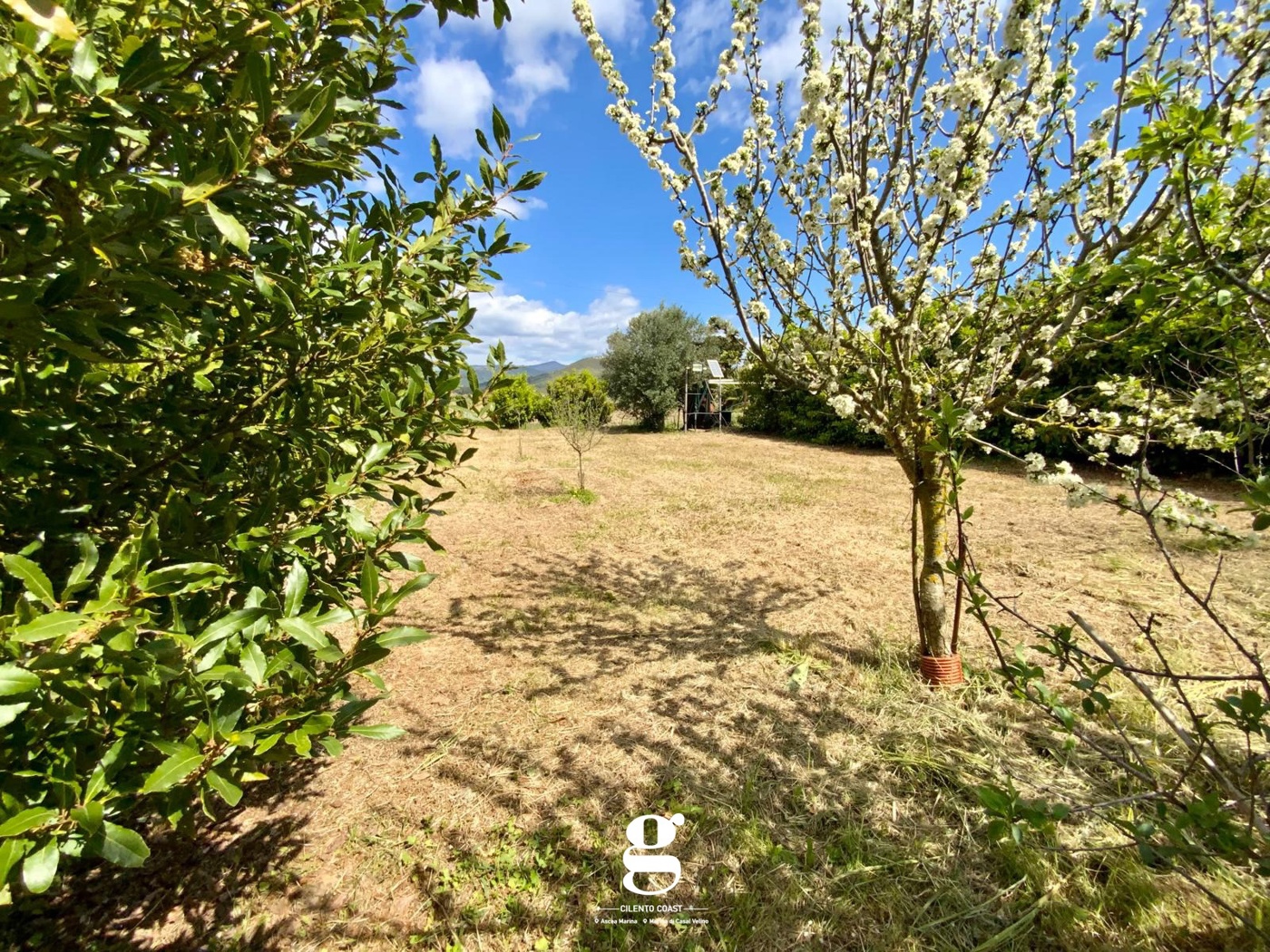 Villa Bifamiliare nuova a Casal Velino