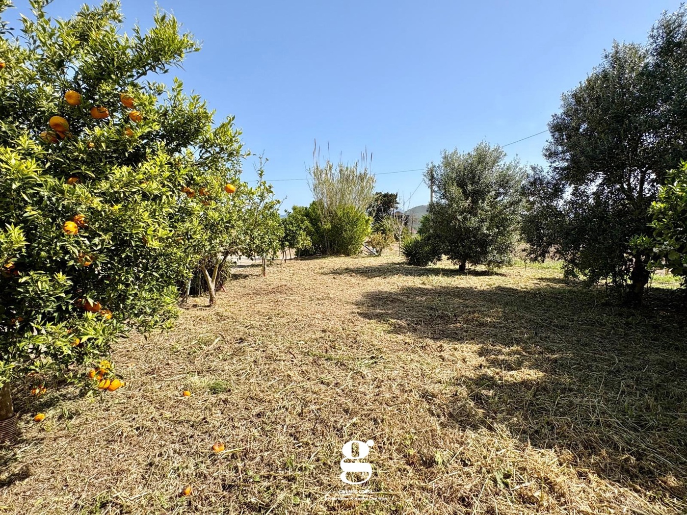 Villa Bifamiliare nuova a Casal Velino