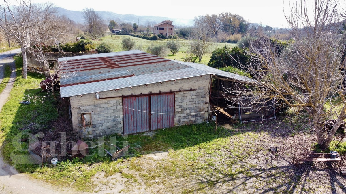 Terreno Agricolo in vendita a Casal Velino