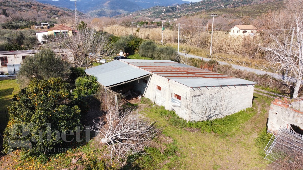 Terreno Agricolo in vendita a Casal Velino