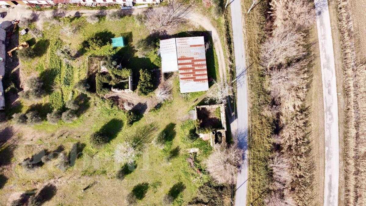 Terreno Agricolo in vendita a Casal Velino